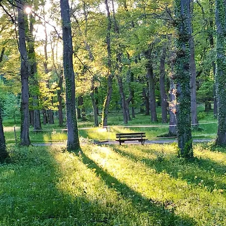 Luxury tent Ma Yourte Au Fond Du Jardin *