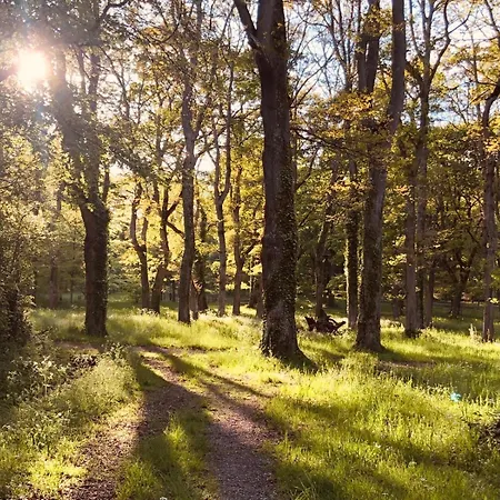 Lyxtält Ma Yourte Au Fond Du Jardin La Barthe-de-Neste